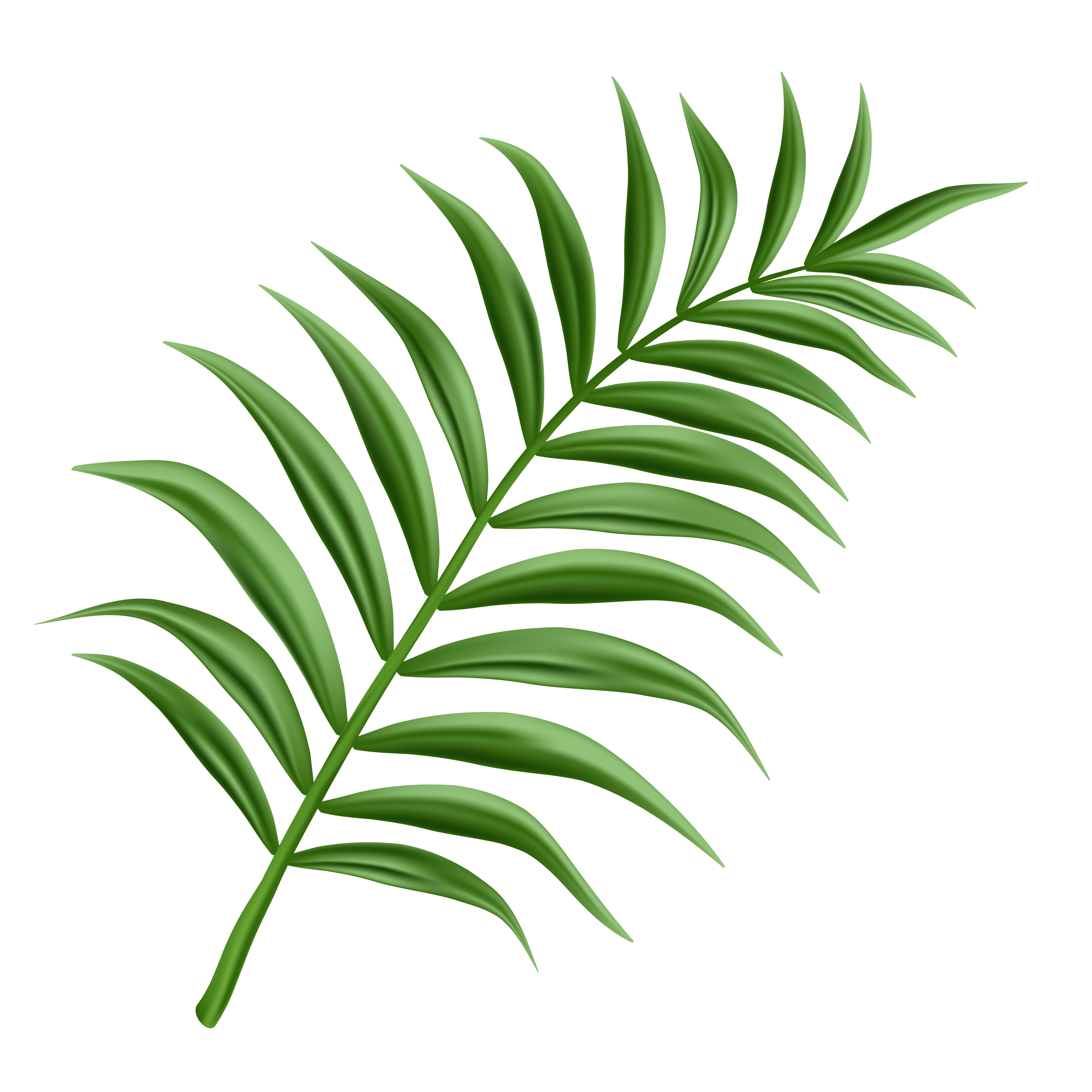 Supports Injury Recovery & Therapy